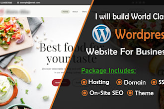 build world class business wordpress website