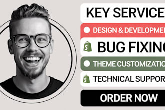 build expert shopify bug fixing troubleshooting for smooth store operations