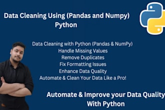 clean, format, and preprocess your excel or CSV data professionally