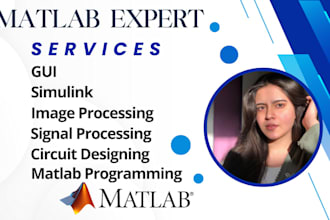 do advanced matlab programming, image processing, simulink models, and gui