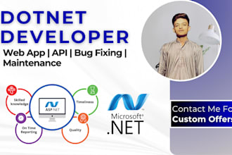 develop custom dot net core application and fix bug