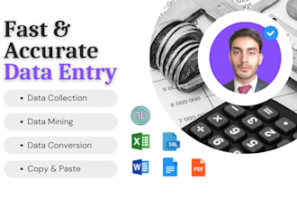 do fast and accurate data entry with quality assurance