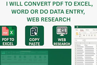 convert PDF to excel or word, do data entry and web research