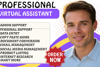 be your personal executive virtual assistant for business admin task data entry