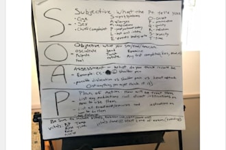 do nursing care plans, soap notes and case studies