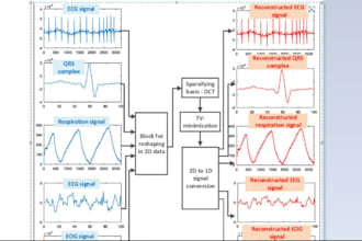 do biomedical engineering,electronic,imaging, biomaterial, and nanotechnology