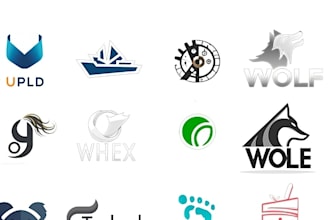 do a professional business logo design