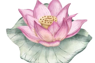 do hand drawn watercolor feminine floral spa logo in 24 h