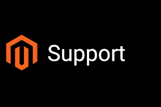 provide magento maintenance and support