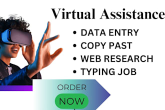 be your virtual assistant for data entry, web research, typing and copy past