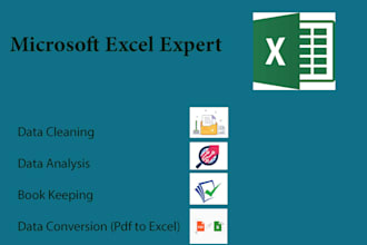 do data cleaning, formatting in excel