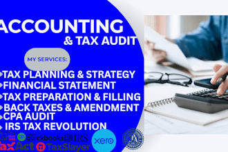 do accounting bookkeeping US and canadian tax returns and payroll