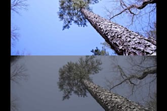color correct your raw photos in davinci resolve