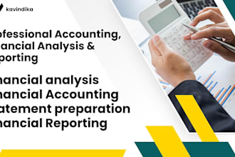 assist with accounting, auditing, and financial reporting