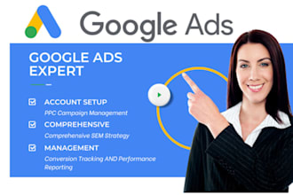 create facebook and google ads campaigns for you with custom audiences