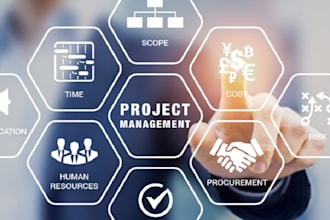 do project planning and project management for you