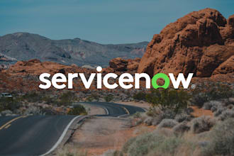 do servicenow development, configuration, integration, automatization