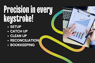 do setup, catch up, clean up, reconciliation and bookkeeping in quickbooks
