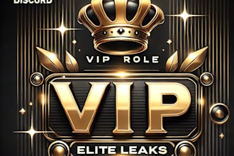sell a custom VIP role system for our discord server