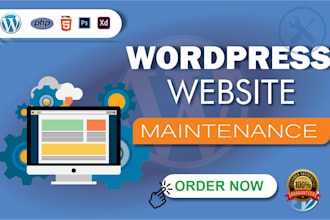 design, redesign wordpress website and website maintenance