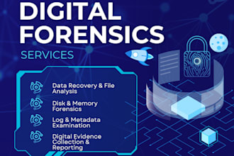 do digital forensics, malware, and log analysis