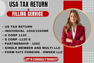 prepare and e file USA tax returns, itin number, corporate and llc, tax filling