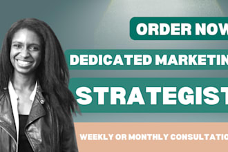 be your monthly digital marketing strategy consultant
