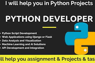 do python development and debugging services