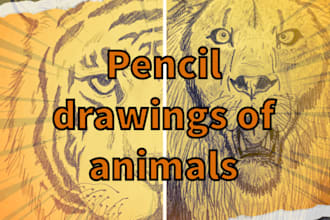 create pencil drawings of animals