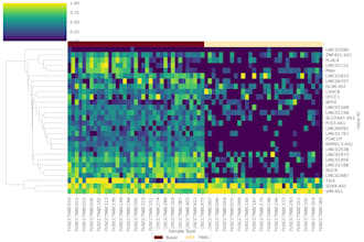 data visualization and graphical analysis using python
