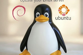 update your debian or ubuntu linux server