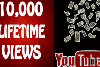 do youtube video promotion to 10k niche relevant audience