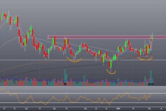 create automated forex trading bots for mt4, mt5 and tradingview