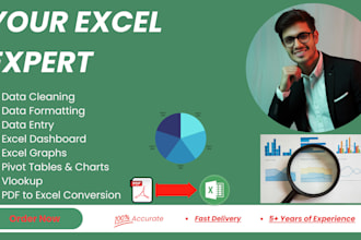 clean excel data, create dashboards, convert PDF to excel, pivot tables, vlookup
