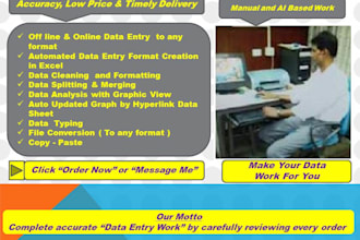 excel data entry, clean, format, analysis with graphic view