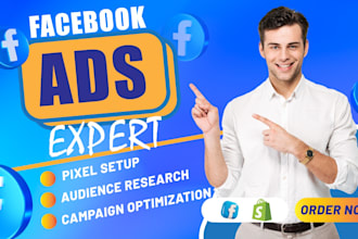 be your expert meta advertising manager