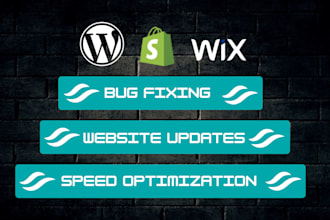 do wordpress update, support and website maintenance as a website manager