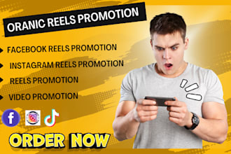 do facebook instagram reels organic promotion for views