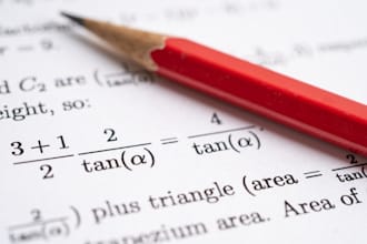 do economics, statistics, business, finance, accounting, econometrics tasks