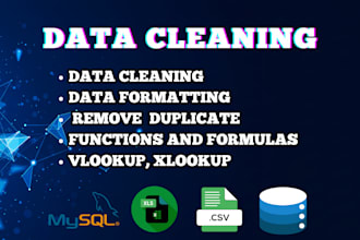 do professional data cleaning and formatting in excel, google sheets, and sql