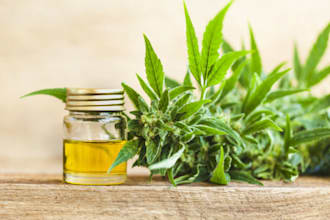 do sales guaranteed for cbd vape, tobacco weed, cannabis marketing shopify store