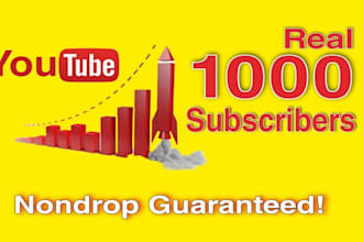 do add 1000 youtube followers, views watch time for monetization