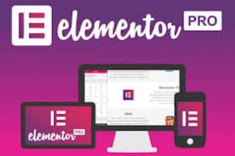 build a professional wordpress website using elementor or divi