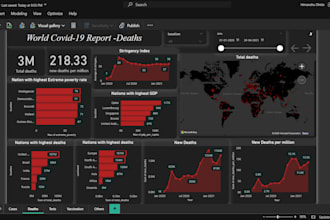 design custom power bi dashboards and provide data insights