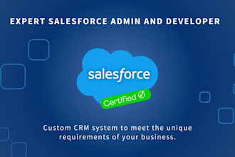 be your expert salesforce developer and salesforce admin