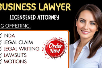 legal consulting for business contract, disputes, agreement terms of service nda