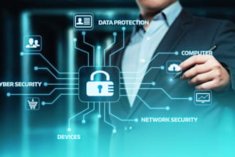 consult on information security, cybersecurity, IT security