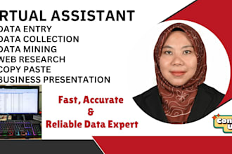 do professional data entry, business plan, formulations and any write up