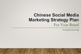 provide chinese social media marketing strategy plan for your brand