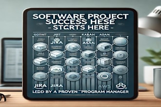 be your technical program manager for software projects